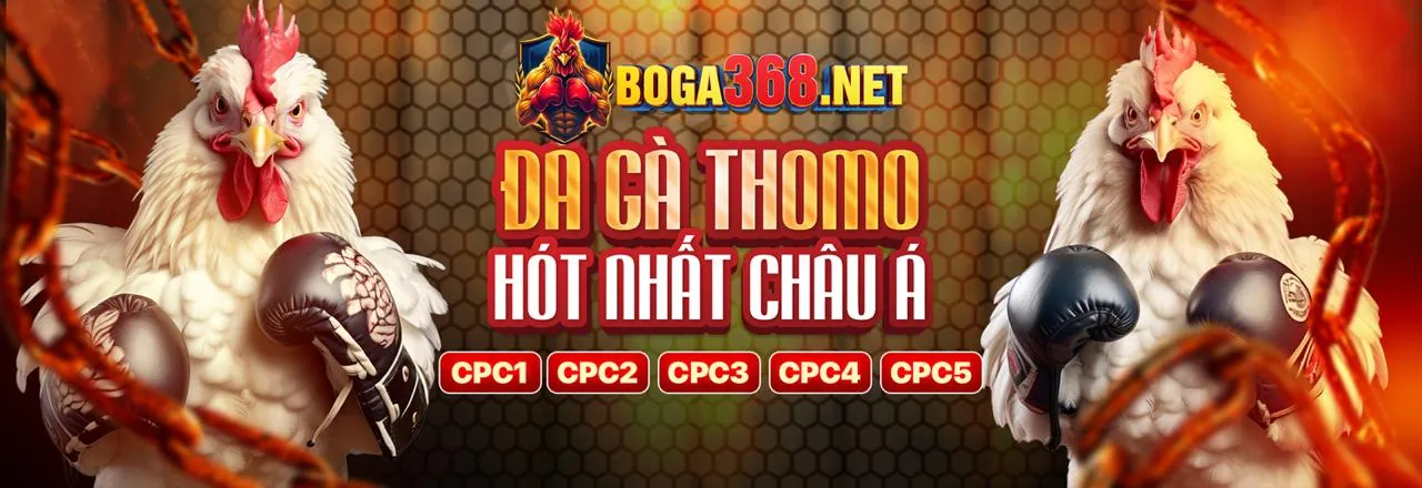Khuyến mãi C54C hấp dẫn 2026